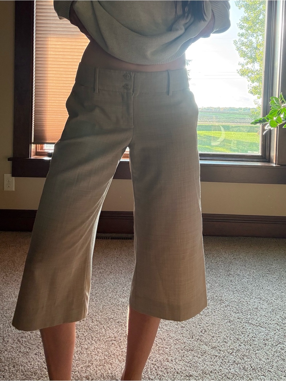 The Limited Wide-Leg Cropped Dress Capris in Beige